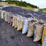 Autoridades desmantelan producción ilegal de carbón vegetal en zona rural de Ciudad Bolívar - Foto: CAR