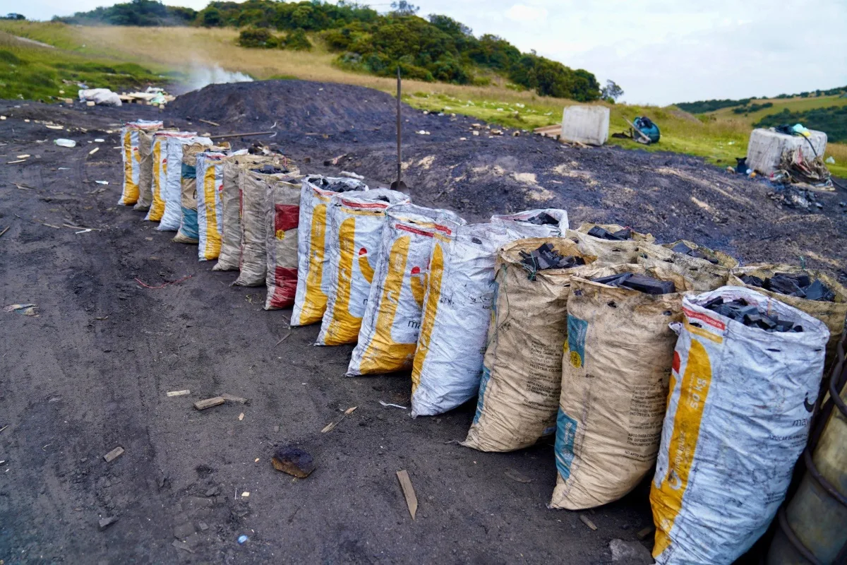 Autoridades desmantelan producción ilegal de carbón vegetal en zona rural de Ciudad Bolívar - Foto: CAR