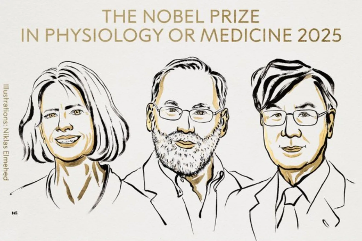 El Nobel de Medicina reconoce a los descubridores de los “guardianes” del sistema inmunitario - Foto: @NobelPrize