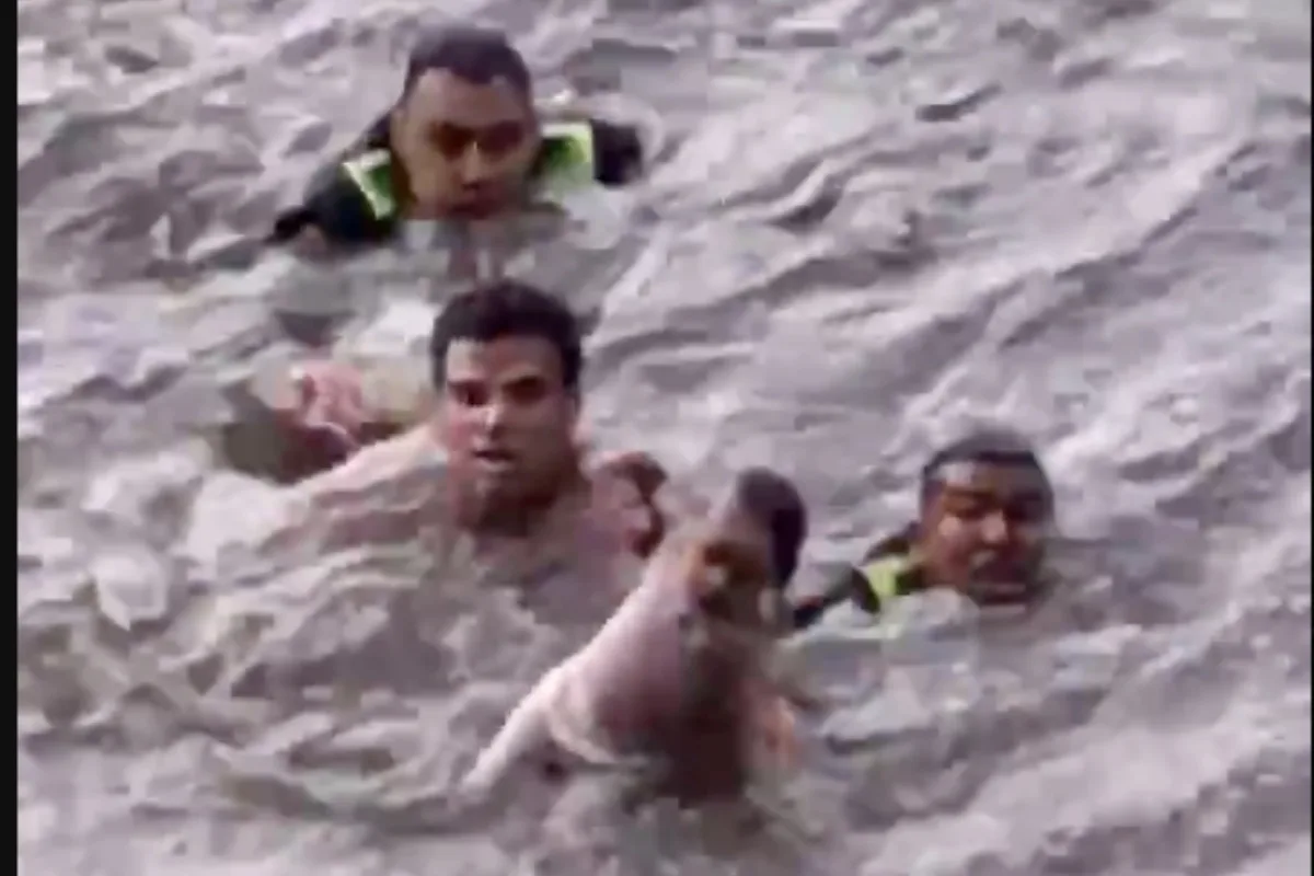 Madre intentó quitarse la vida junto a su bebé de 10 meses al lanzarse al río Bogotá - Foto: Captura de video