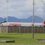 Para operadores grandes como Avianca el impacto operativo es inmediato y severo: la compañía ha comunicado que más del 70% de su flota —compuesta en gran medida por variantes de la familia A320— quedará temporalmente fuera de servicio, lo que ya ha provocado cancelaciones, reprogramaciones y la suspensión temporal de la venta de tiquetes para permitir la redistribución de pasajeros - Foto: Archivo/Ronald Cano