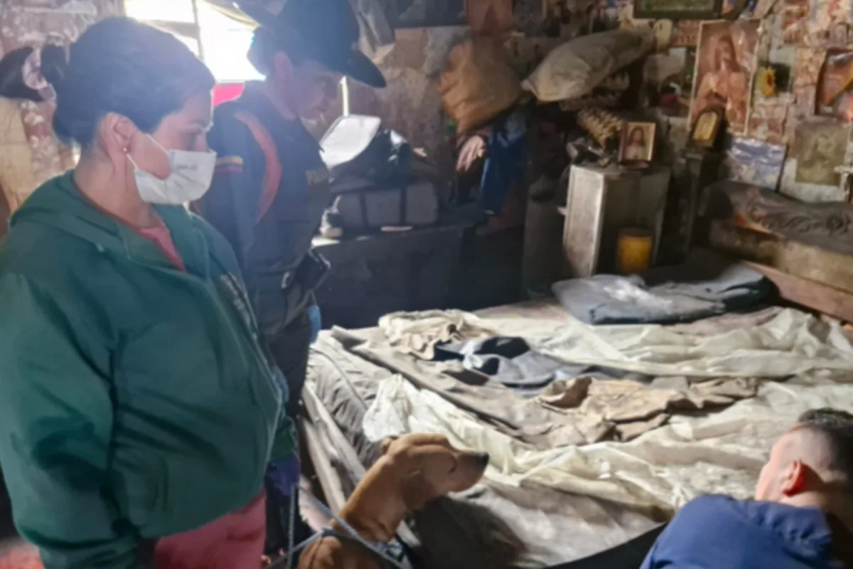 Autoridades rescatan 30 animales en aparente estado de abandono durante operativo en el barrio La Peña - Foto: Cortesía