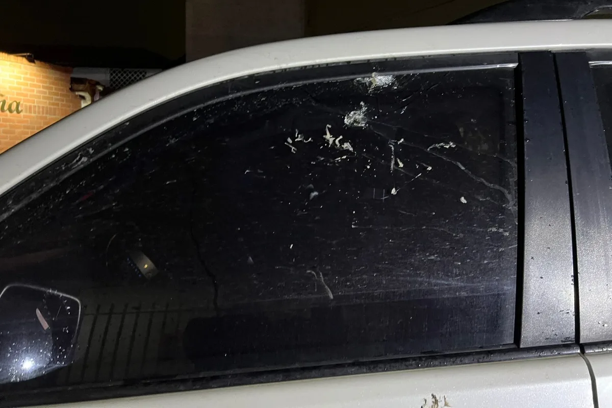 Senador Temístocles Ortega sobrevive a atentado armado en carretera hacia Popayán tras una persecución de 15 minutos - Foto: @temisortega