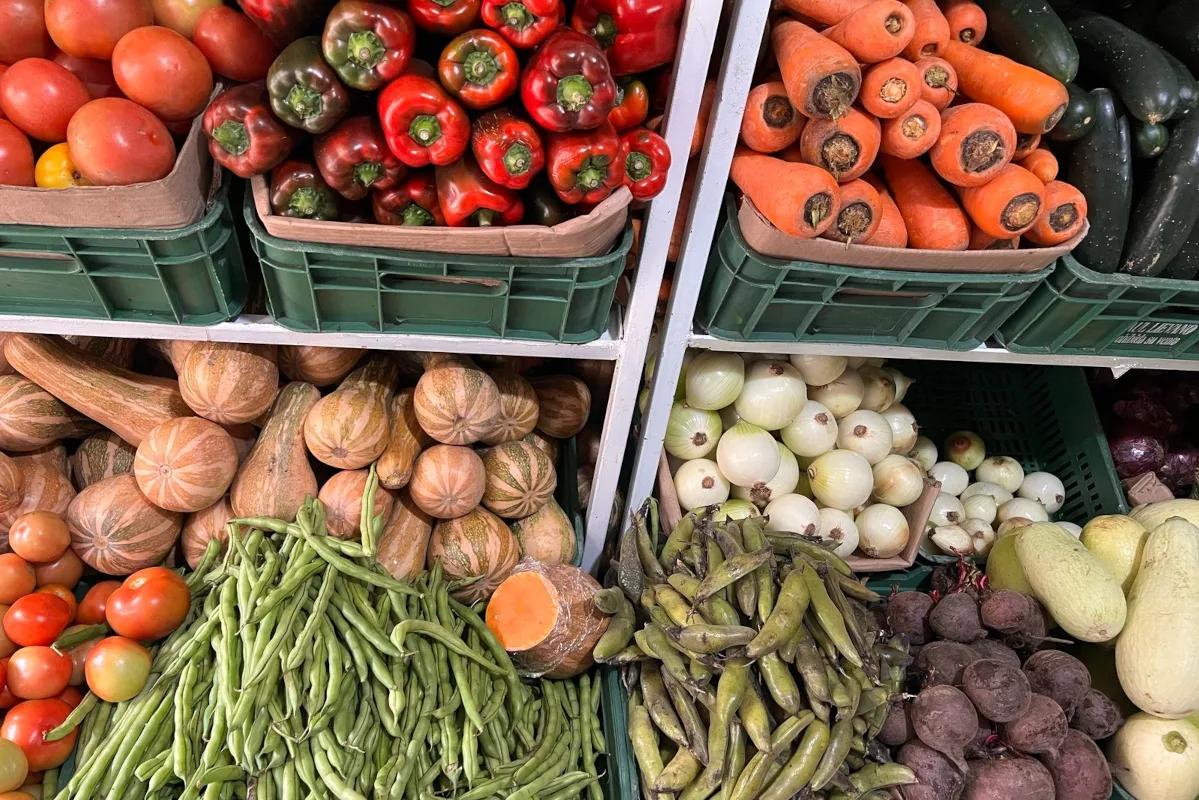 SISABE a Cundinamarca es una iniciativa interinstitucional que busca caracterizar oferta, flujos, rutas y nodos de abastecimiento del departamento, junto con los factores que condicionan el acceso a alimentos en los hogares - Foto: FAO