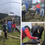 La articulación con la institución educativa fue clave. Docentes y directivos acogieron la iniciativa como una oportunidad de transformar el colegio en un laboratorio vivo donde la teoría se une con la práctica - Foto: Jardín Botánico