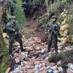 Ejército y Policía asestan uno de los mayores golpes del año al narcotráfico en Nariño con la incautación de 5,6 toneladas de cocaína en dos complejos clandestinos vinculados a disidencias de las Farc - Foto: Cortesía