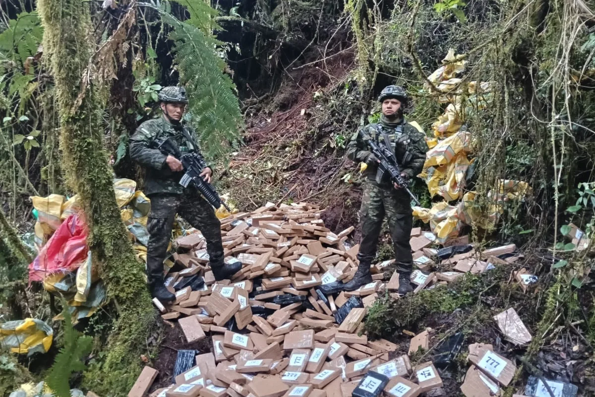 Ejército y Policía asestan uno de los mayores golpes del año al narcotráfico en Nariño con la incautación de 5,6 toneladas de cocaína en dos complejos clandestinos vinculados a disidencias de las Farc - Foto: Cortesía