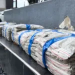 En lo corrido del año 2025, la Policía de Bogotá ha logrado la captura de 33.553 personas por diferentes delitos y la incautación de más de 4,5 toneladas de marihuana, como resultado de las acciones operativas y de control adelantadas en la ciudad - Foto: Policía Metropolitana de Bogotá