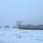 Ciudades como Nueva York, Boston, Filadelfia y Washington D.C. se encuentran entre las más afectadas por las precipitaciónes invernales, con intensas nevadas que han provocado cierres de escuelas y transporte urbano limitado - Foto: Boston/Julieth Cabral