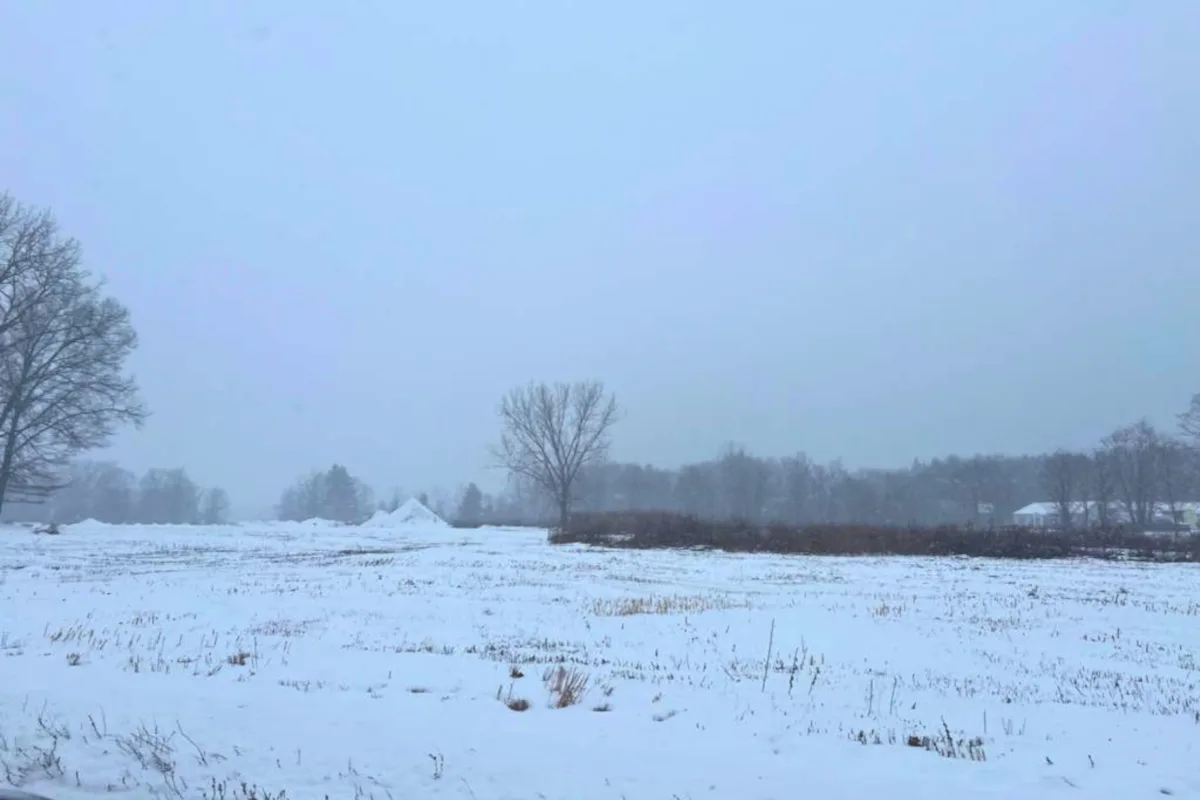 Ciudades como Nueva York, Boston, Filadelfia y Washington D.C. se encuentran entre las más afectadas por las precipitaciónes invernales, con intensas nevadas que han provocado cierres de escuelas y transporte urbano limitado - Foto: Boston/Julieth Cabral
