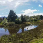 Prográmese para asistir a recorridos interpretativos, avistamientos de aves, murciélagos, mariposas, siembras comunitarias, talleres de plastilina y fotografía e incluso a un conversatorio - Foto: Secretaría de Ambiente