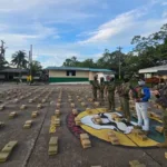 El Gobierno de Colombia rechazó el arancel del 30 % impuesto por Ecuador a sus exportaciones y defendió la cooperación binacional en la lucha contra el narcotráfico - Foto: @mindefensa