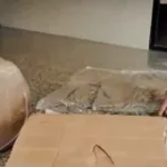 Caninos antinarcóticos frustran envío de casi 100 kilos de marihuana desde El Dorado hacia Santa Marta - Foto: Captura de video