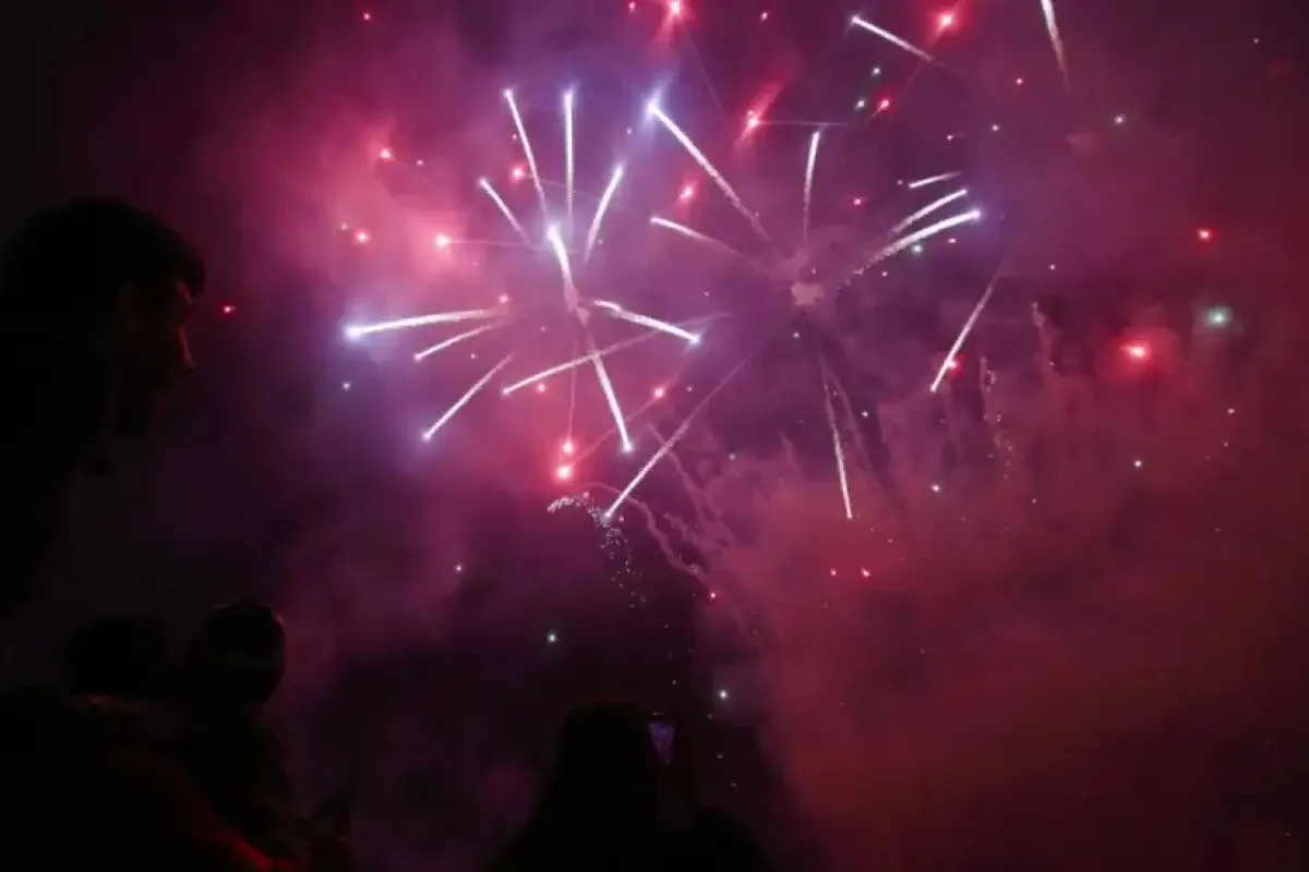 La pólvora vuelve a golpear a los animales en Bogotá: cerca de mil reportes por estrés, huida y contaminación durante diciembre - Foto: Redes sociales