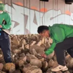 En el recorrido se encontraron siete cráneos, al parecer de especie porcina. La denuncia señalaba la presencia de una supuesta fosa común de perros que era alimento de habitantes de calle, hecho que es absolutamente falso según lo comunicado por el Instituto Distrital de Protección y Bienestar Animal (IDPYBA) - Foto: IDPYBA