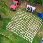 Operativos del Ejército en el sur del Meta permitieron incautar marihuana, destruir un laboratorio de pasta base de coca y capturar a un presunto integrante de la estructura Ever Castro, vinculada a alias 'Calarcá' - Foto: @COL_EJERCITO