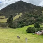 La CAR decretó nuevamente Alerta Preventiva por mala calidad del aire en Mochuelo, Ciudad Bolívar, tras altos niveles de PM2.5 - Foto: Cortesía